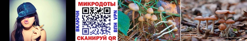 Псилоцибиновые грибы Magic Shrooms дарнет шоп Новошахтинск