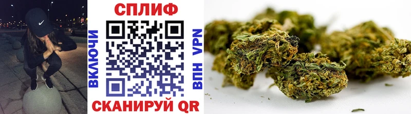 Бошки марихуана Bruce Banner  закладка  Новошахтинск 